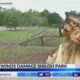 Strong winds damage Shiloh Park in Brandon