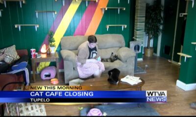 Cat cafe closing in Tupelo