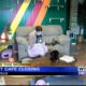 Cat cafe closing in Tupelo