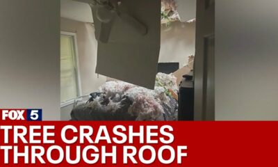 Downed tree from storm crashes through roof | FOX 5 News