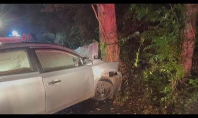 Car crashes into tree in Jefferson County, killing 1 person