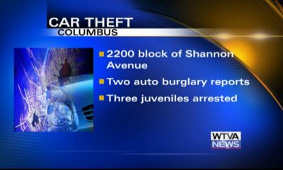 Three minors arrested after auto burglaries in Columbus