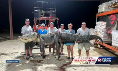 What a catch! Terry family lands big alligator on opening day