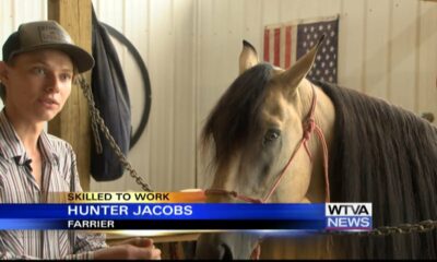 Skilled to Work: Day in the life of a farrier