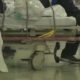 Keeping Kids Safe This Flu Season | September 2, 2024 | News 19 at 5 p.m.