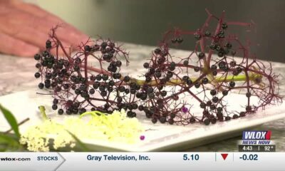 Dr. Mark LaSalle examines various types of edible plants