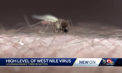 CDC reports 21 cases of West Nile virus in Louisiana