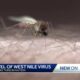 CDC reports 21 cases of West Nile virus in Louisiana