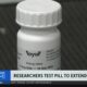 Researchers test pill to extend dog's life