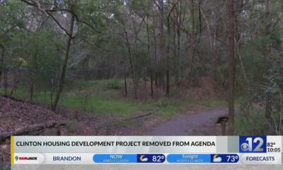 Clinton housing development project removed from agenda