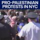 Pro-Palestinian protests in New York City | FOX 7 Austin