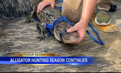 Outdoor Adventures with Chelsea: Alligator hunting in Mississippi