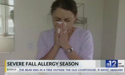 Mississippi could see a severe fall allergy season