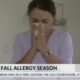 Mississippi could see a severe fall allergy season