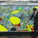 Tropical trouble for the Gulf next week?