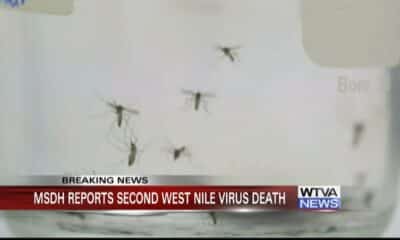 Mississippi reports second West Nile Virus death of 2024