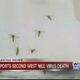 Mississippi reports second West Nile Virus death of 2024