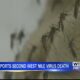 Mississippi's second West Nile Virus death reported in Calhoun County