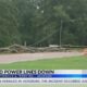 Tree falls on power lines in Jackson