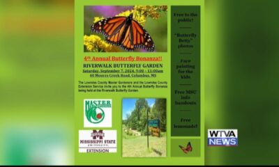 Interview: 4th annual Butterfly Bonanza set for Sept. 7 in Columbus