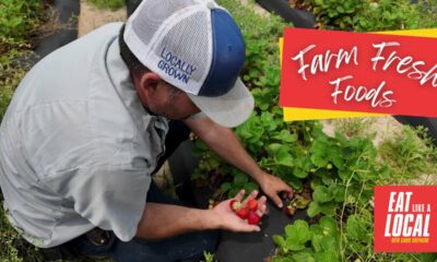 Farm to Table | Eat Like a Local with Chris Shepherd, Ep. 28