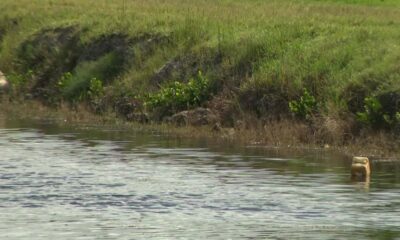 Body of man found in Sunrise canal