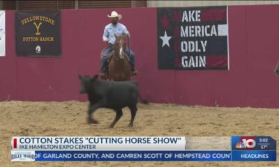 Fox 14 Your Morning News: Horse Show Morning Show