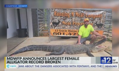 Mississippi man catches record female alligator