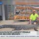 Mississippi man catches record female alligator