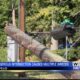 Residents say intersection where log truck crashed into pole is dangerous