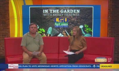 Louisiana Living: In The Garden