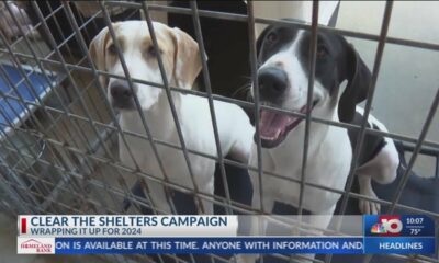 KTVE wraps up 2024 Clear the Shelters campaign