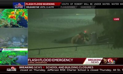 Man saves the life of driver in submerged truck on live television during Hurricane Francine