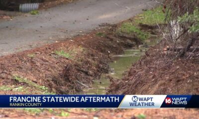 Francine knocks down trees, takes out power in Rankin County