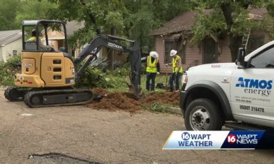 Flooding, trees down in Jackson because of Francine