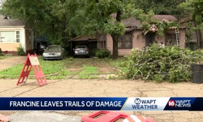 Francine leaves behind a path of damage through Mississippi