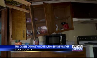 Tree falls on home in Columbus due to hurricane remnants