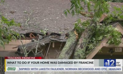 What should I do if my home was damaged by Francine?