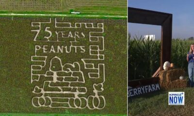 Think you can navigate this giant corn maze? Find out at Dewberry Farm Fall Festival