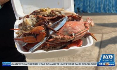 Community comes out to 43rd annual Biloxi Seafood Festival