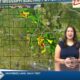 Good Morning Meridian Tori Alvarado's forecast 9/16