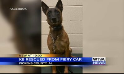 K9 Zuna saved from vehicle fire in Pickens County, Alabama