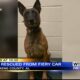 K9 Zuna saved from vehicle fire in Pickens County, Alabama