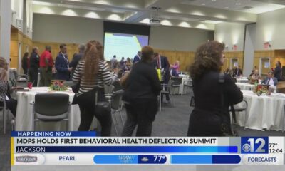 Mississippi DPS holds Behavioral Health Deflection Summit