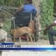 Homeless Camp Fire | September 17, 2024 | News 19 at 5 p.m.