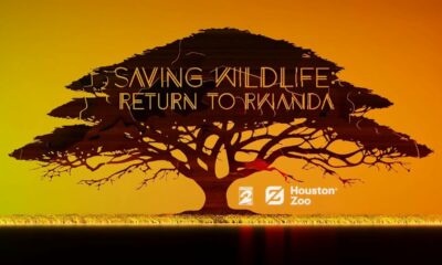 Saving Wildlife: Return to Rwanda – EXTENDED EDITION