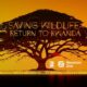 Saving Wildlife: Return to Rwanda – EXTENDED EDITION