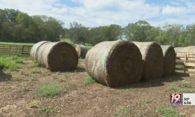 Drought Causing Struggles for Fall Farm Tourism | Sept. 20, 2024 | News 19 at 6 p.m.