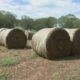 Drought Causing Struggles for Fall Farm Tourism | Sept. 20, 2024 | News 19 at 6 p.m.