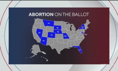 Facing South Florida: Florida's abortion amendment